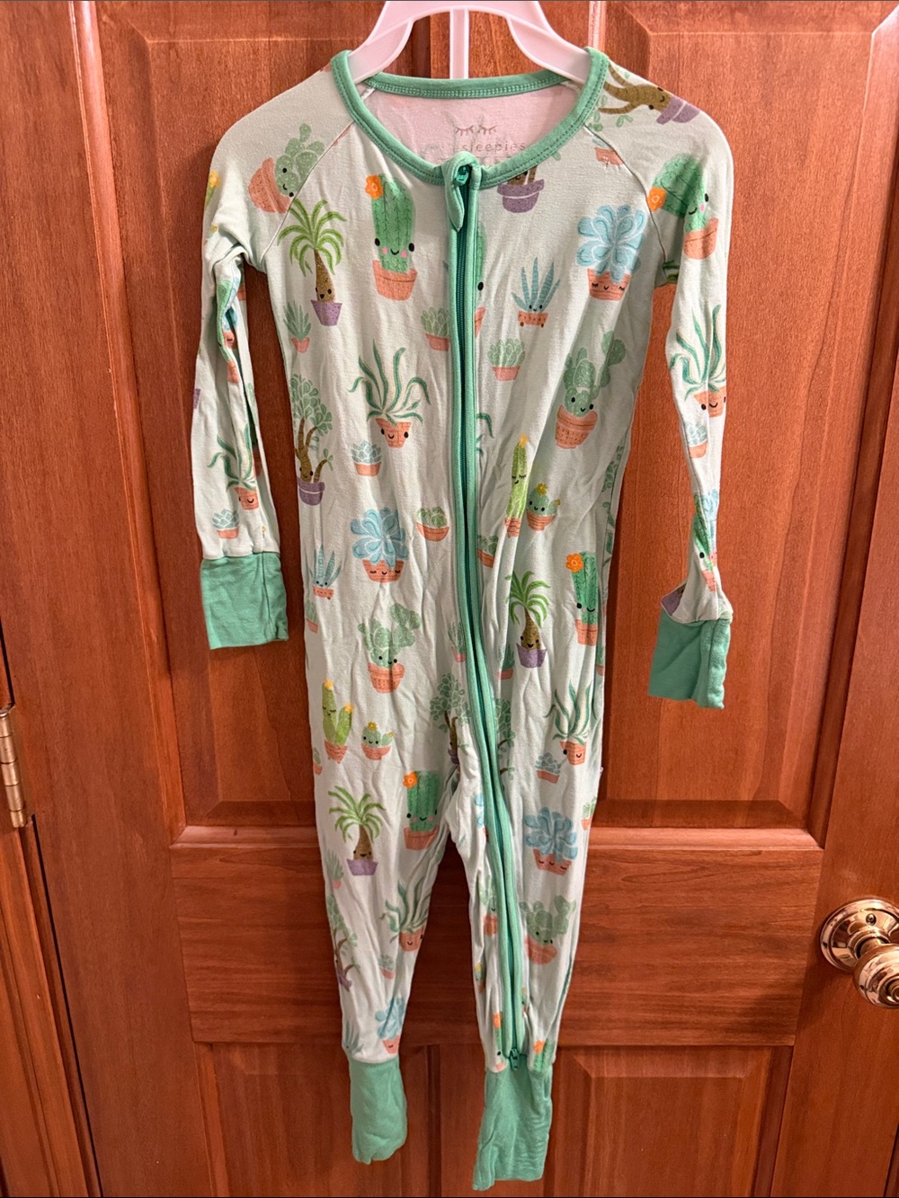 Succulent Love | Little Sleepies | One Piece | 18-24 mo